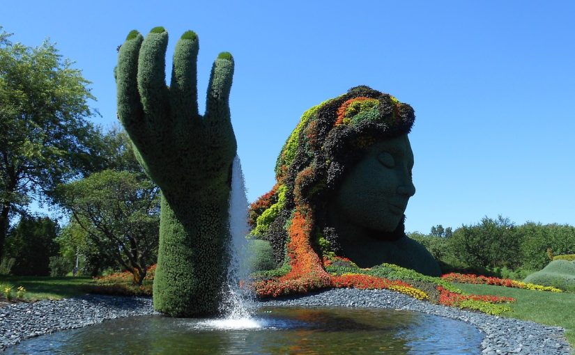 bassins de jardin en polyéthylène