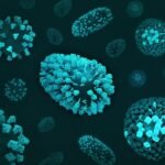 pouvoir du microbiote